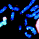 Image for article titled That's a Bad Cough, Let's Examine Your Genome